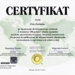 Certyfikat_SI