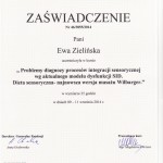 Problemy_diagnozy_SI